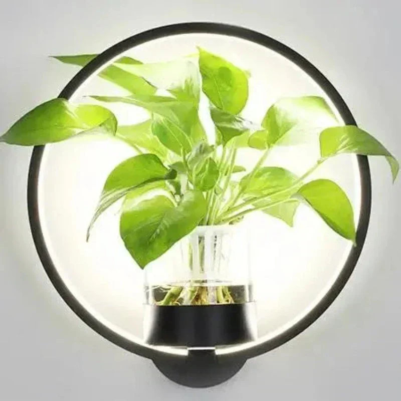 Circular LED Wall Sconce With Planter - Botaniqua