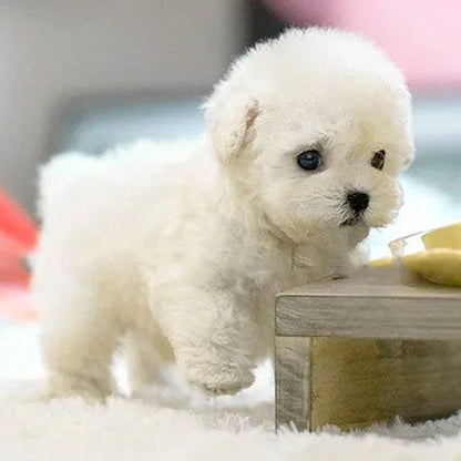 Interaktiver Plüschhund mit realistischen Bewegungen – Für Kinder & Senioren