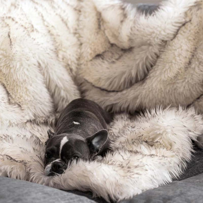 Luxuriöse wasserdichte Haustierdecke – CozyPaw™