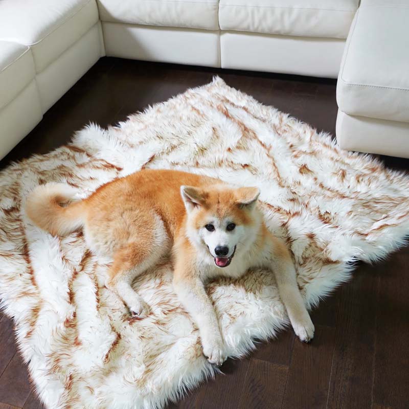 Luxuriöse wasserdichte Haustierdecke – CozyPaw™