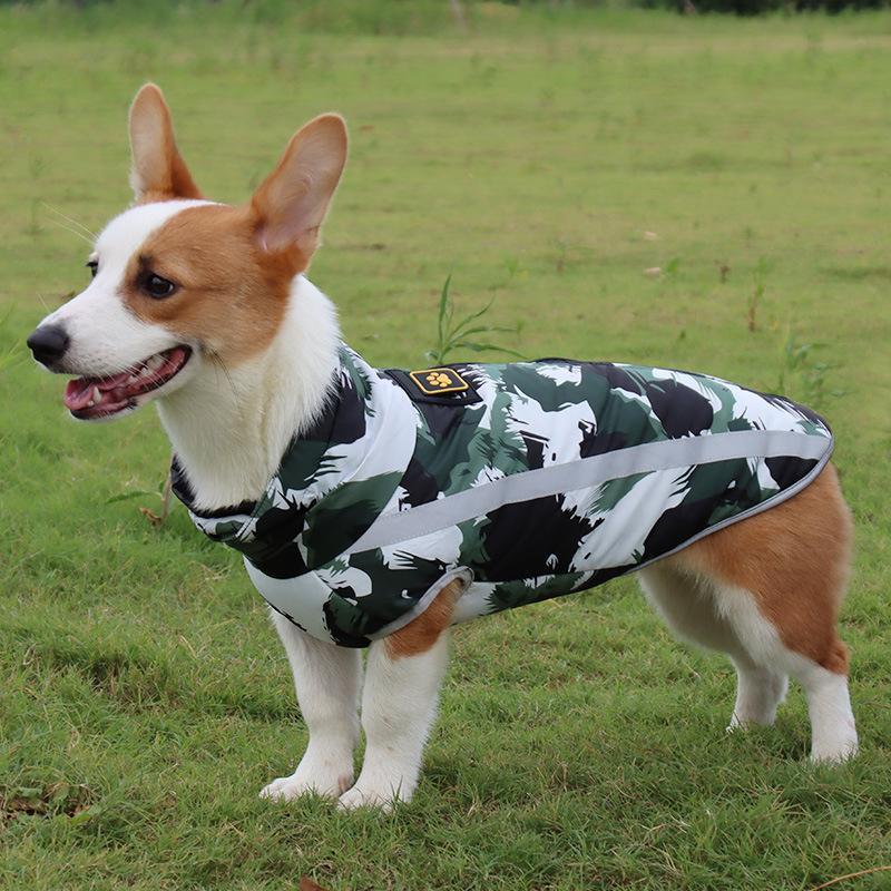 Wasserdichte Winterjacke für Hunde – StormGuard