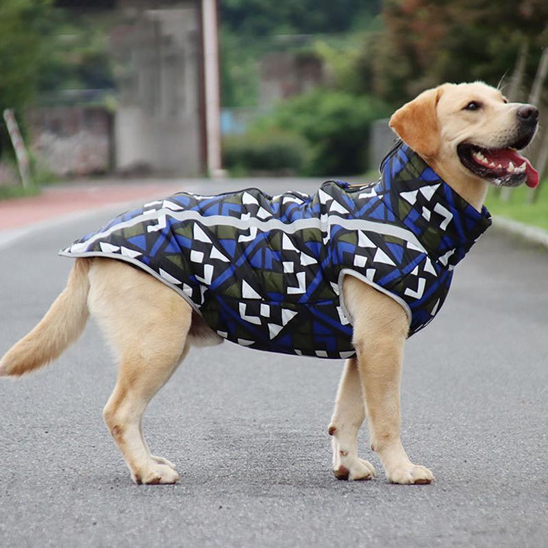 Wasserdichte Winterjacke für Hunde – StormGuard