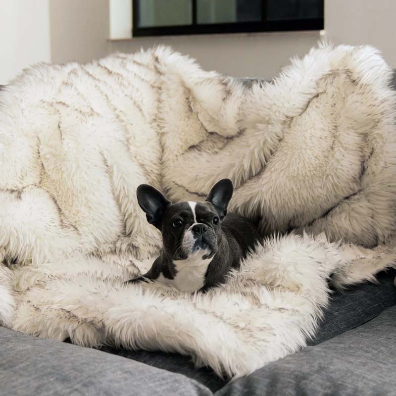 Luxuriöse wasserdichte Haustierdecke – CozyPaw™