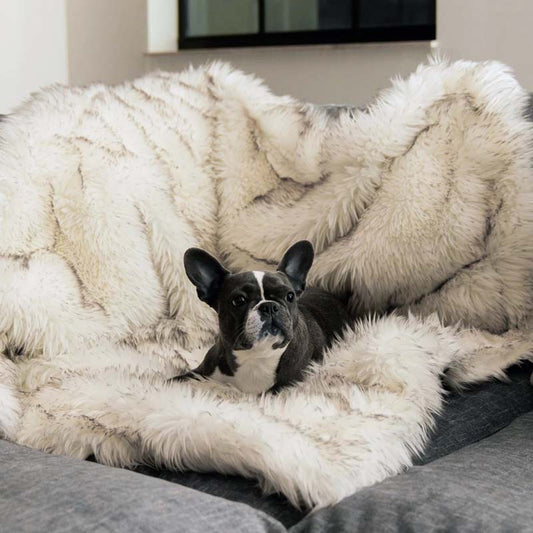 Luxuriöse wasserdichte Haustierdecke – CozyPaw™