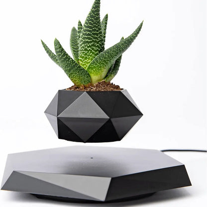 Schwebender Pflanzenhalter mit magnetischer Levitation - Liva