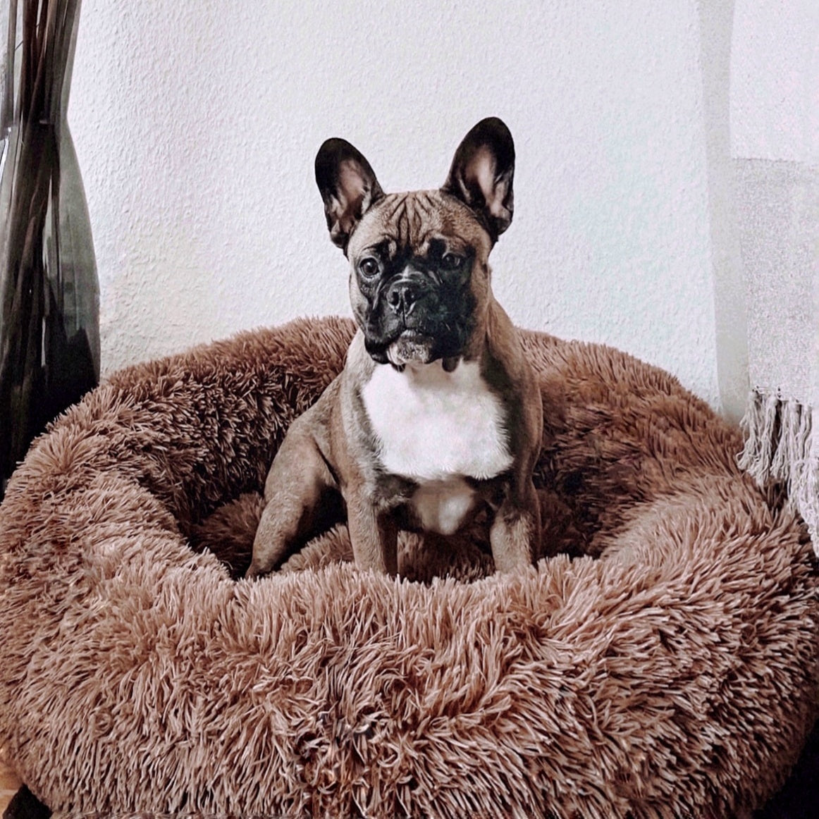 Hundebett Fluffy Plus - Das Original