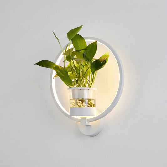 Circular LED Wall Sconce With Planter -  Botaniqua