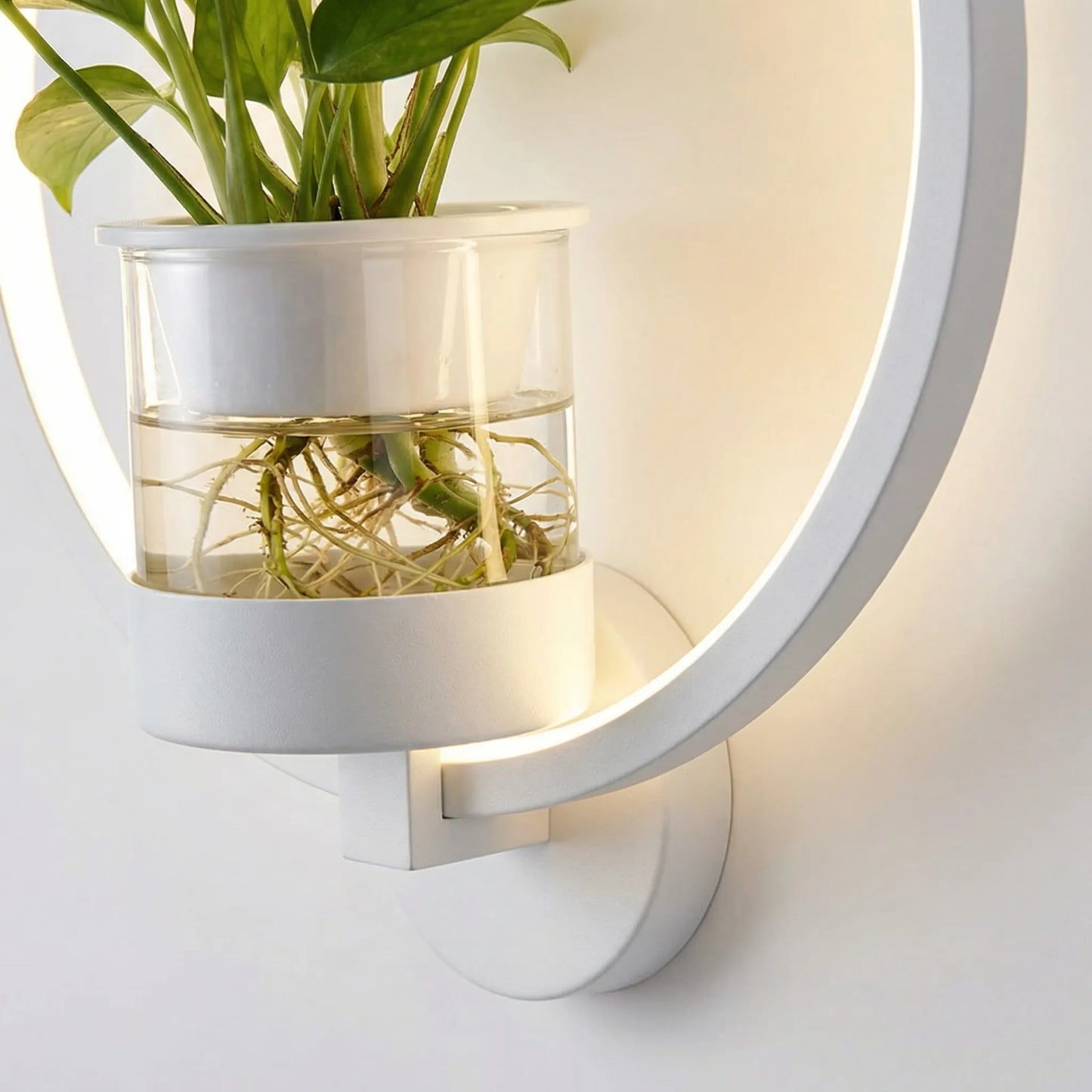 Circular LED Wall Sconce With Planter -  Botaniqua