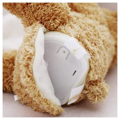 Sprechender Plüschbär mit Musik & Spiel – interaktiver Begleiter für Kinder