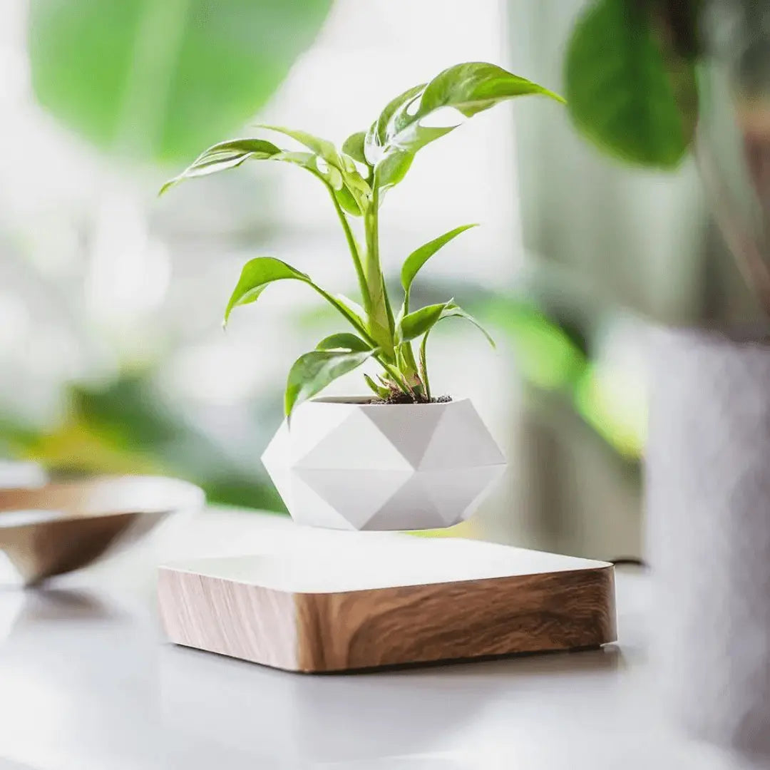 Schwebender Pflanzenhalter mit magnetischer Levitation - Liva