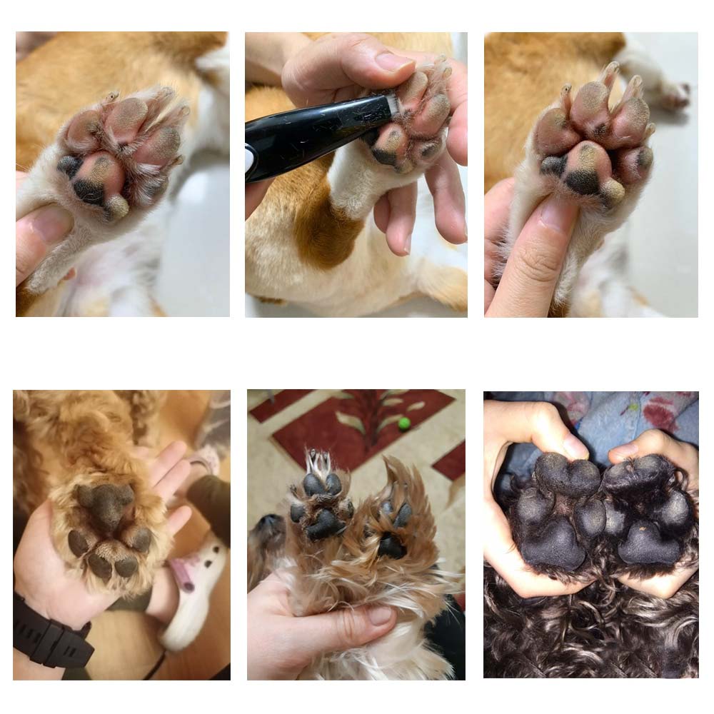 Pflege Haustier Haarschneider - PawPerfect