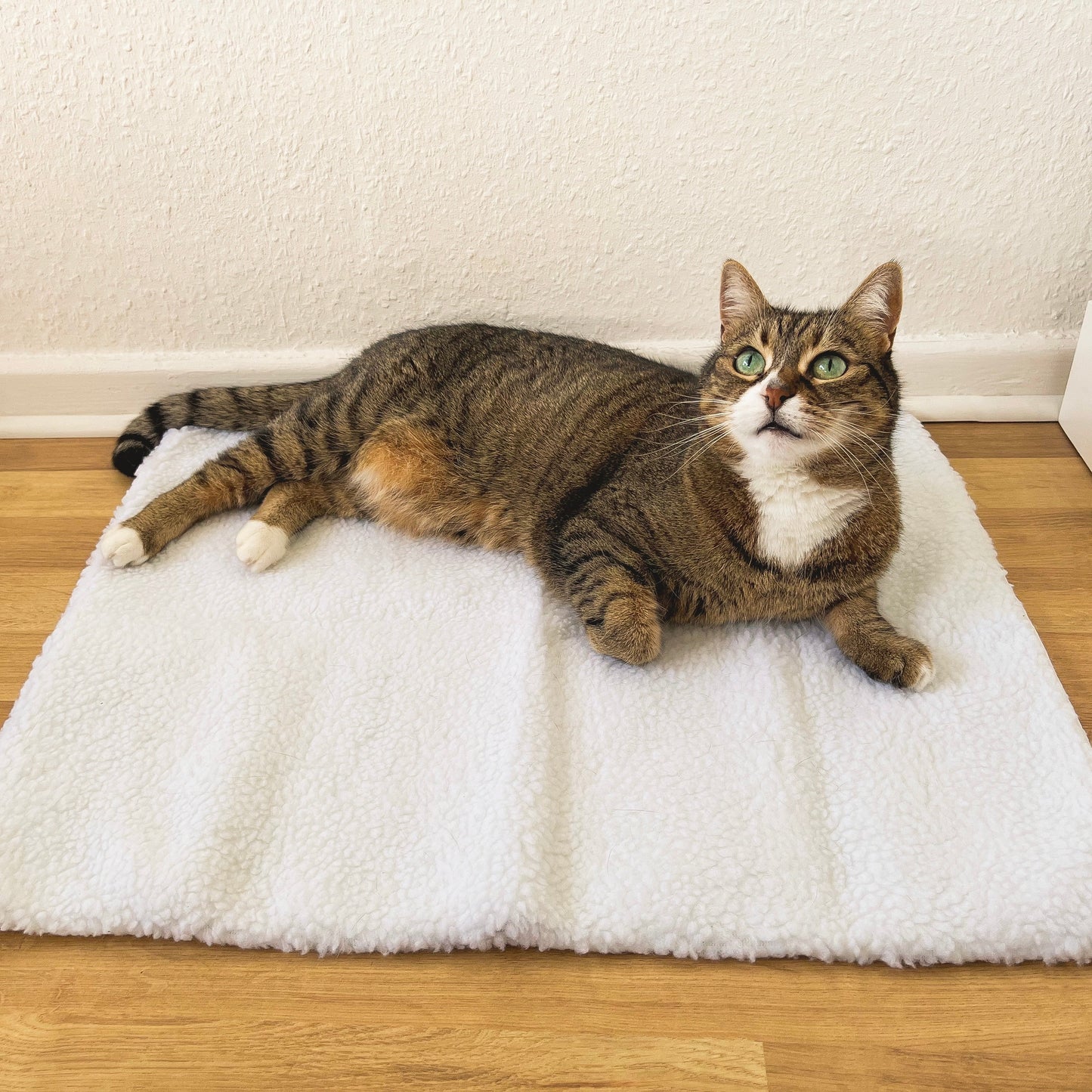 Selbstwärmende Katzenmatte – WarmPurr™