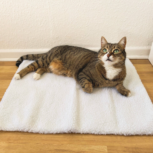 Selbstwärmende Katzenmatte – WarmPurr™