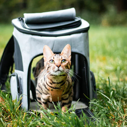 Katzenrucksack – PurrPack