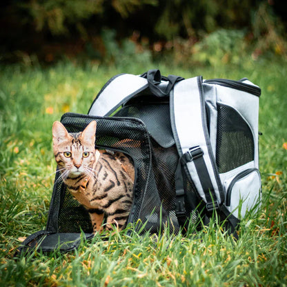 Katzenrucksack – PurrPack