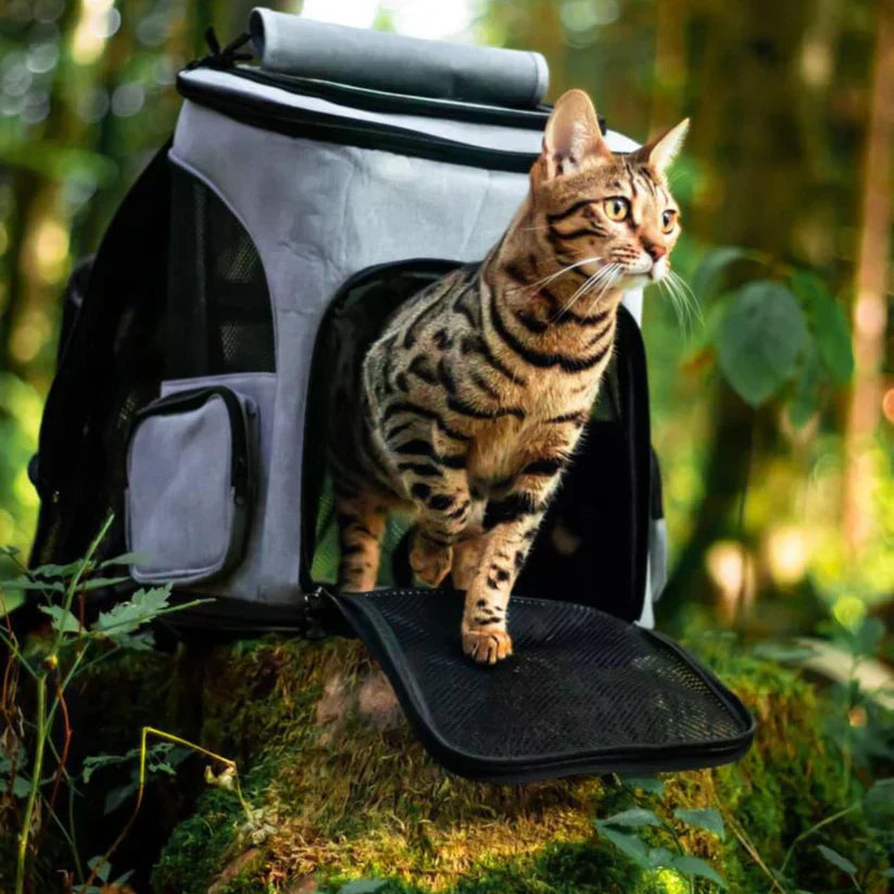 Katzenrucksack – PurrPack