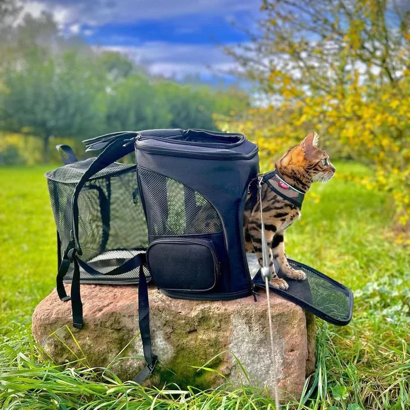 Katzenrucksack – PurrPack