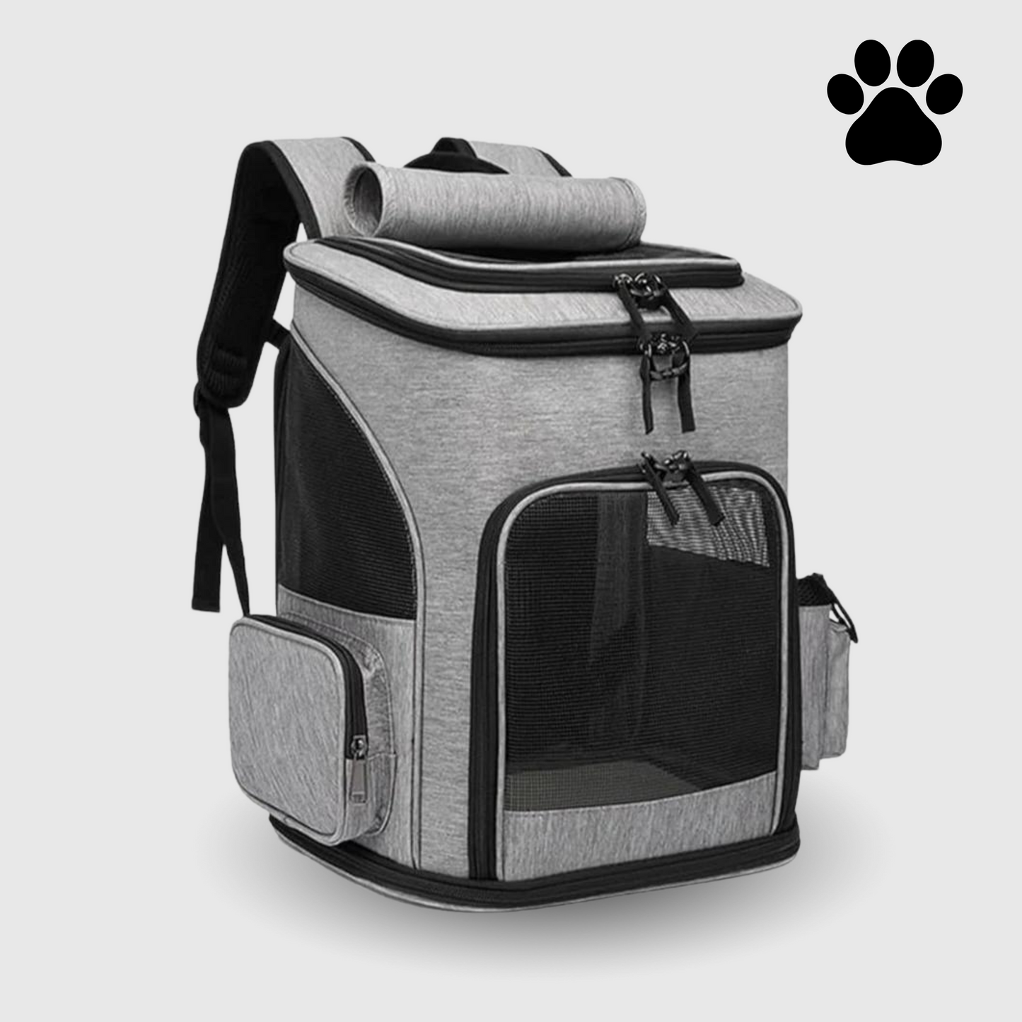 Katzenrucksack – PurrPack