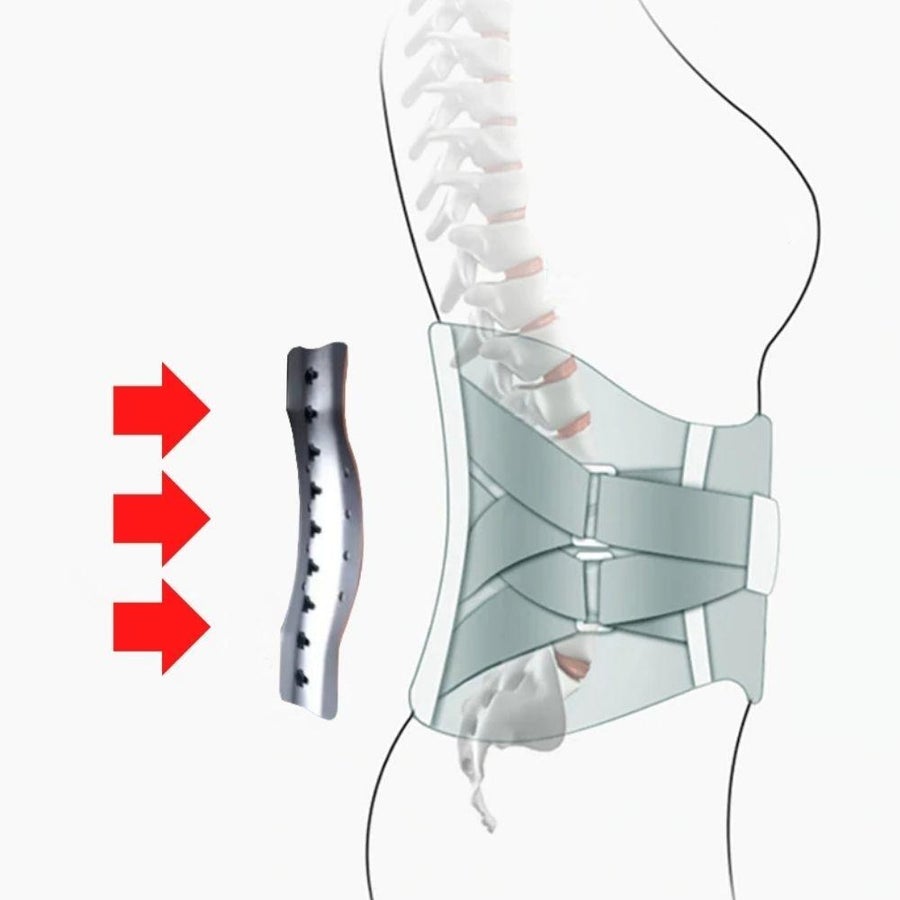 Lumbale Rückenstütze – Thijmen