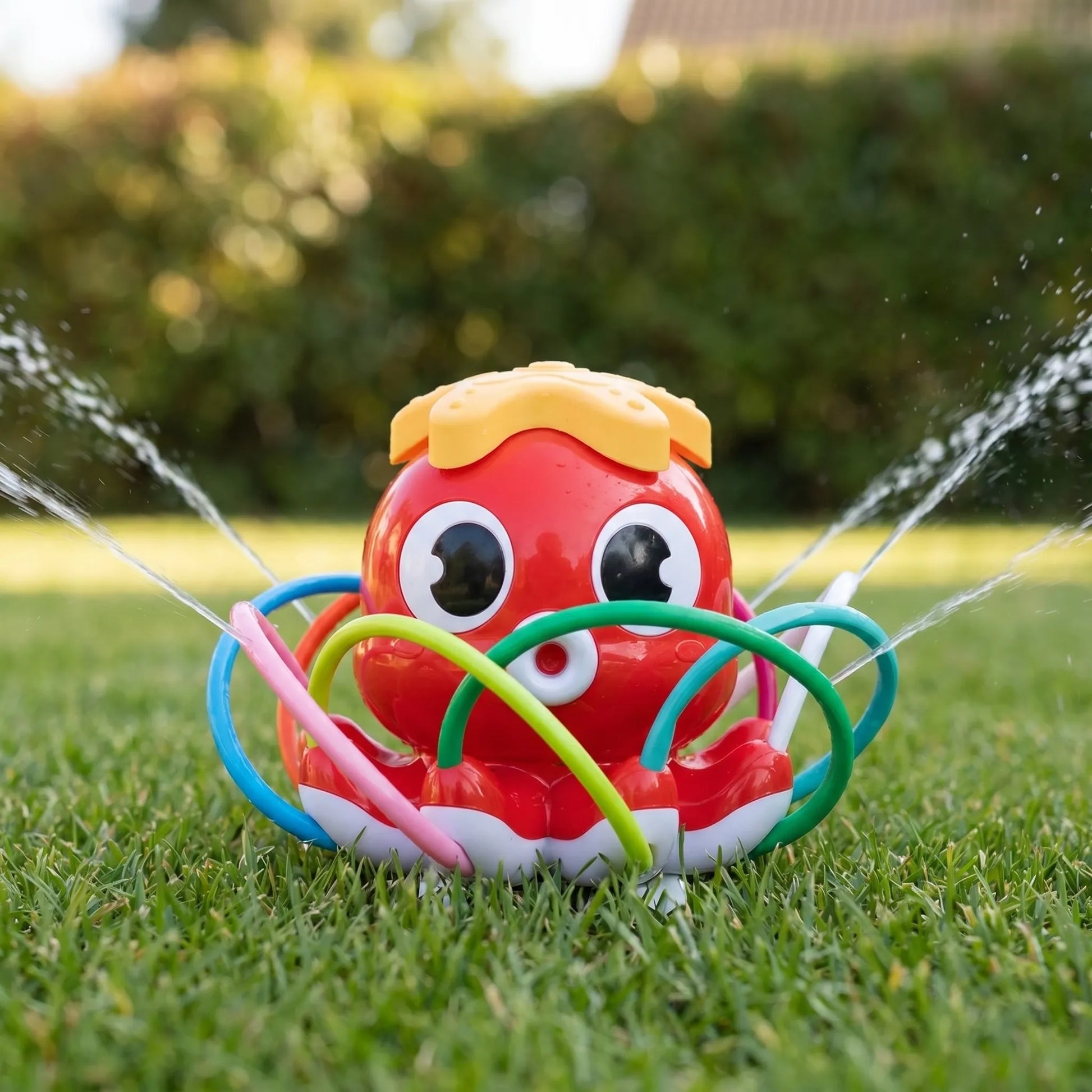 Oktopus-Wassersprenkler - Octojet
