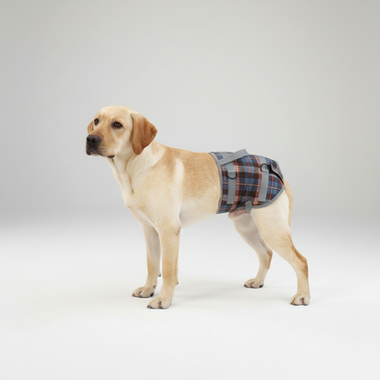 Orthopäisches Hinterbeingeschirr - PawRelief