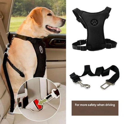 Autogurt mit bequemen Brustgeschirr für Hunde - PawSafe