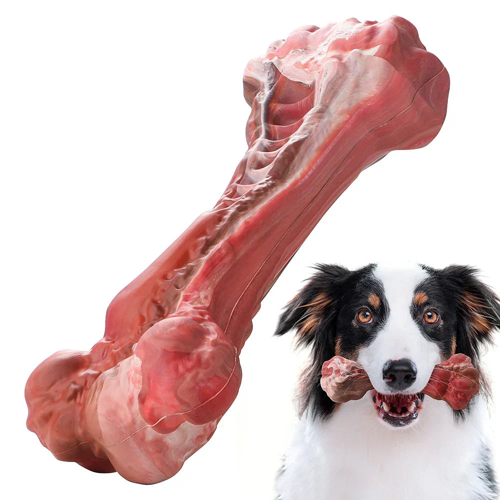 Der Verspielte Zahnpfleger für Hunde – BuddyChew