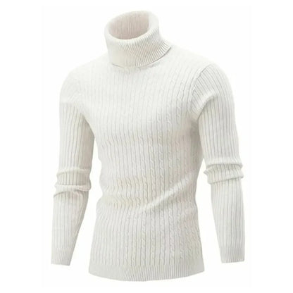 Ribbed Roll-Neck Men's Knitwear - Nicolas
