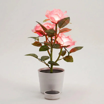 Solar-Powered Rose Lantern In A Pot -  Rosalume