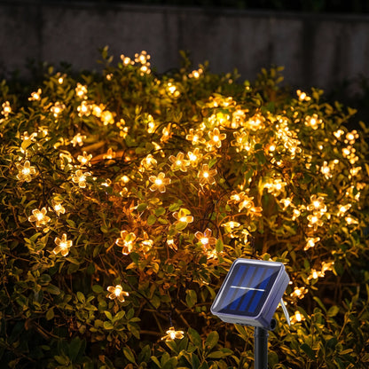 Solarlichterkette Draußen - Blossomray