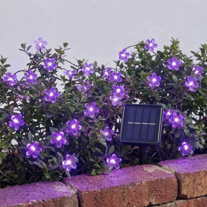 Solarlichterkette Draußen - Blossomray