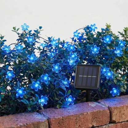Solarlichterkette Draußen - Blossomray