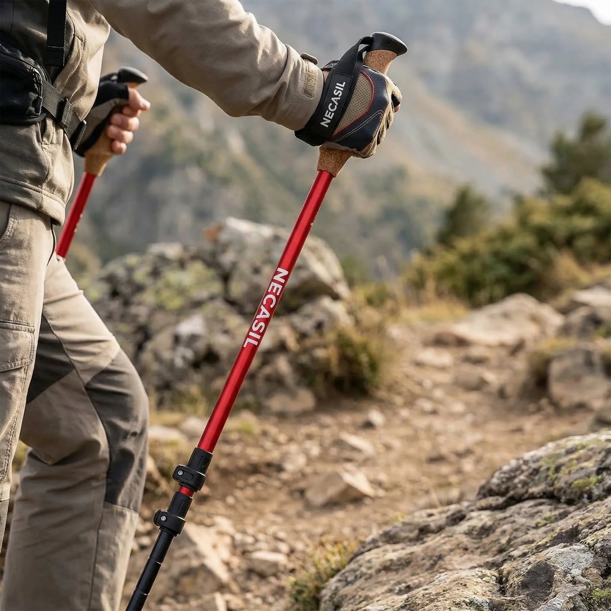 Teleskop-Trekkingstöcke Im Set -  Alpenvex