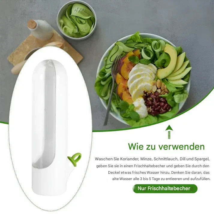 Kräuteraufbewahrungsbox – FreshKeep