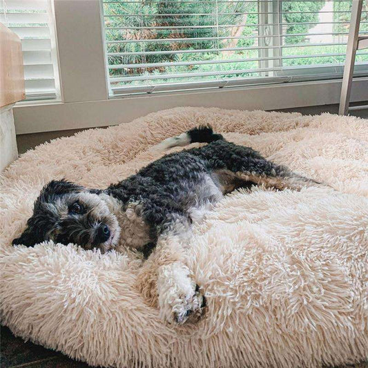 Beruhigendes Anti-Stress Hundekissen – Nuvio